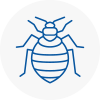 Bed Bug Extermination In Knowsley